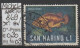 1966 - SAN MARINO - SM "Meeresfauna - Wrackbarsch" 1 L Mehrf. - O  Gestempelt  - S.Scan (869o 01-03 S.marino) - Used Stamps