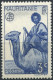 Delcampe - Mauritanie - 1913 -> 1944 - Yt 21- 22 - 73 - 74 - 75 - 76 - 78 - 81 - 123 - 136 Oblitérés - Gebraucht