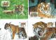 1126f: Russland 1993, WWF- Ausgabe Sibirischer Tiger, Serie **/ FDC/ Maximumkarten, Je Mit Schutzhülle - Collections, Lots & Series