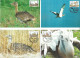 1139d: Ungarn 1994, WWF- Ausgabe Grosstrappe, Serie **/ FDC/ Maximumkarten, Jeweils In Schutzhüllen - Covers & Documents