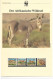 1139b: Sudan 1994, WWF- Ausgabe Afrikanischer Wildesel, Serie **/ FDC/ Maximumkarten, Jeweils In Schutzhüllen - Esel