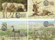 1139b: Sudan 1994, WWF- Ausgabe Afrikanischer Wildesel, Serie **/ FDC/ Maximumkarten, Jeweils In Schutzhüllen - Esel