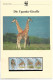 1131b: Uganda 1997, WWF- Ausgabe Giraffe, Serie **/ FDC/ Maximumkarten, Jeweils In Schutzhüllen - Jirafas