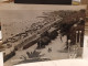 Cartolina   Grottammare Provincia Ascoli Piceno , Lungomare E Spiaggia 1955 - Ascoli Piceno