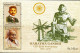 Delcampe - India Worldwide Mahatma Gandhi Stamp Sheets Collection Lot MNH As Per Scan See 58 Scans - Colecciones & Series