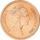 Monnaie, Gibraltar, 2 Pence, 1995 - Gibraltar