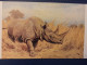 Animaux -Collection "Les Dinosaures" Dicerorhinus 1989 RHINO - Rhinozeros