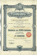 Titre De 1919 - Société Des Pétroles Monte-Carlo - Tourcoing - - Aardolie
