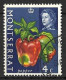 MONTSERRAT...QUEEN ELIZABETH II..(1952-22..)...." 1965.."..PEPPERS......4c.....SG163....VFU..... - Alimentation