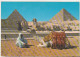 Camel Driver Near Great Sphynx And The Pyramids - Egypt Old Uncirculated Postcard - Afrique