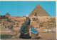 Camel Driver Near Great Sphynx And The Pyramids - Egypt 1978 Used Postcard - Afrique