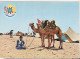 Camel Driver In South Morocco  - Old Used Postcard - Afrique