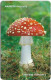 Andorra - STA - STA-0147 - Mushroom, Amanita Muscaria, GD04, 02.2005, 6€, 20.000ex, Used - Andorre