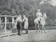 Alte AK Frankreich Um 1910 Motiv PK Les Sports Le Polo / Reitsport / Pferdesport / Polo / Ungebraucht - Horse Show