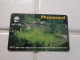 Swaziland Phonecard - Swasiland