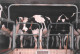 ¤¤   -   AGRICULTURE  -  Lot De 7 Clichés De La Traite De Vaches  -  Stabulation, Fermiers, Agriculteur      -   ¤¤ - Tractors