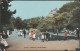 Chine Gardens, Boscombe, Hampshire, C.1905-10 - ETW Dennis Postcard - Bournemouth (fino Al 1972)