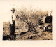 ¤¤   -   Lot De 2 Clichés  -  Tracteur Et Défricheuse à Bras Au CANADA En 1937  -  Voir Description     -   ¤¤ - Tractors