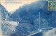 ALGERIE - Blida - Les Gorges De La Chiffa - Carte Postale Ancienne - Blida