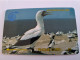 ASCENSION ISLAND   5 Pound Bird  White BOOBY BIRD 5CASA / SILVER STRIP/    Old  Logo C&W **13662** - Isole Ascensione