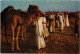 PC SAUDI ARABIA, ALKHOBAR, CAMEL RACE, Modern Postcard (b48099) - Arabie Saoudite