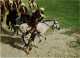 PC AFGHANISTAN, BUZKASHI, GOAT PULLING, NATIONAL SPORT, Modern Postcard (b48148) - Afghanistan