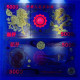 China Banknote Collection ，New Kirin Commemorative Coin Banknote​​​​​​​，UNC - Chine