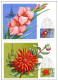 Russia USSR 1978 MC X5 Flora Flowers Flower Maximum Cards - Cartes Maximum