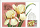 Russia USSR 1978 MC X5 Flora Flowers Flower Maximum Cards - Tarjetas Máxima