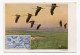 !!! AOF CARTE MAXIMUM OISEAUX 100 F DE POSTE AERIENNE CACHET DE NIAMEY DU 2/3/1960 - Lettres & Documents