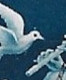 Afwijking Witte Vlek Boven De Kop Van De Duif In 1938 Kinderzegels 12½ + 3½ Ct Blauw NVPH 317 - Plaatfouten En Curiosa