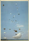 PARACHUTISME - Parachutiste - Grande Carte - Avion TRANSALL C 160, Largages - Militaria, Armée De L'air - Parachutisme