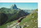 FRANCE ,HAUTE PYRENES ,VUE PANORAMIQUE,RAIL,VACHES - Ossun