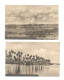 West Africa, 6 X Scenery (oil Palm, Mangrove Swamp, Sierra Leone River, River Gambia, Savannah, Forest  (6 X Scan) - Non Classés