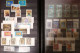 VATICAN Collection TIMBRES 1929//2008 Neufs** - Colecciones