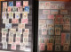 Delcampe - VATICAN Collection TIMBRES 1929//2008 Neufs** - Collections