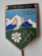 Triglav 2863m Alpinism, Mountaineering Axe Edelweiss Slovenia Vintage Enamel  Pin - Alpinisme