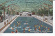 Carte Postal (123030) The Swimming Pool Crystal Gardens Victoria B.C. Canada Avec écriture - Victoria