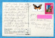 MARICOT. ST. MARTIN . Air Market - Mailed By Nederlandse Antillen PO. 2 Stamps Butterfly, Papillon. Maarten - Sint-Marteen