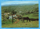 PUNTAGORDA - Vista Parcial -ISLA DE SAN MIGUEL (LA PALMA ) . . Canaria. Espagne. Cheval Horse - La Palma