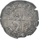 Monnaie, France, Charles VII, Blanc Dit Florette, 1422-1461, Poitiers, TTB - 1422-1461 Charles VII Le Victorieux