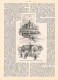 A102 1375-2 Leipzig Industrie- U. Gewerbe-Ausstellung Artikel / Bilder 1897 - Museos & Exposiciones