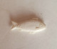 Rare FEVE ANCIENNE  - RARE POISSON EN PLASTIQUE  Ranque Ducongé (4) - Oude