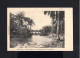 12155-BELGIAN CONGO-OLD POSTCARD MATADI To LAUSANNE (switzerland) 1917.Carte Postale CONGO BELGE.Postkarte - Covers & Documents