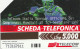 SCEDA TELEFONICA - CAMPIONATI MONDIALI DI SCI - SESTRIERE 1997 (2 SCANS) - Public Themes