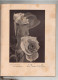 La Nuit Des Roses Programme 1952 Cercle Officiers Baden Baden Casino Publicités à Identifier - Programme