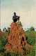 GUINÉ BISSAU - Monte De Baga-Baga - Guinea-Bissau