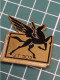 INSIGNE DU GROUPE DE TRANSPORT 505, DRAGO 2 BOLEROS - Army