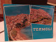 Delcampe - 5 Cartoline Termoli Provincia Campobasso Anni 70, Camping La Vela,auto Tedesca, Saluti Da,la Cattedrale - Campobasso