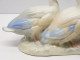 Delcampe - -SUJET DECORATIF 2 CANARDS/OIES PORCELAINE Signée REX VALENCIA HAND MADE SPAIN  E - Autres & Non Classés